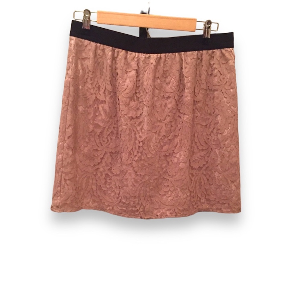 Ann Taylor Loft Skirt